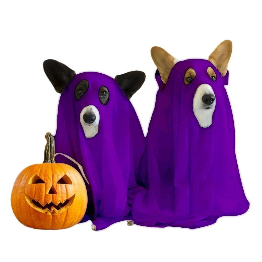 Small white dog wearing ghost costume running on grass Wigglelove