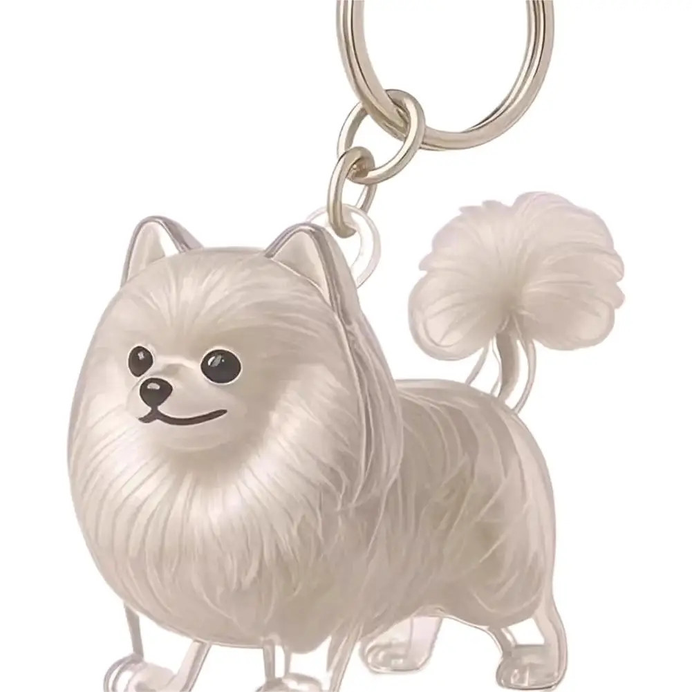 Clear pet hair keepsake keychain for dog or cat memorial Wigglelove