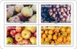 Fruits à savourer - 60 pièces