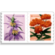 Wildflowers coil of 50 Permanent™