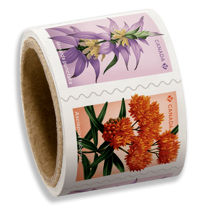 Wildflowers coil of 50 Permanent™