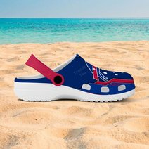 Buffalo Bills DMCR0301