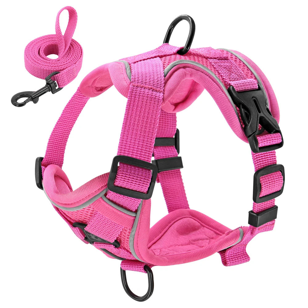 PGS - Adjustable Pet Harness And Leash Set