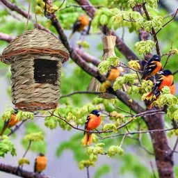 Handwoven Straw Bird Nest Parrot Hatching Breeding Grass Cave Garden Supply Grass Birds House Humming Bird Nest for Lawn Home