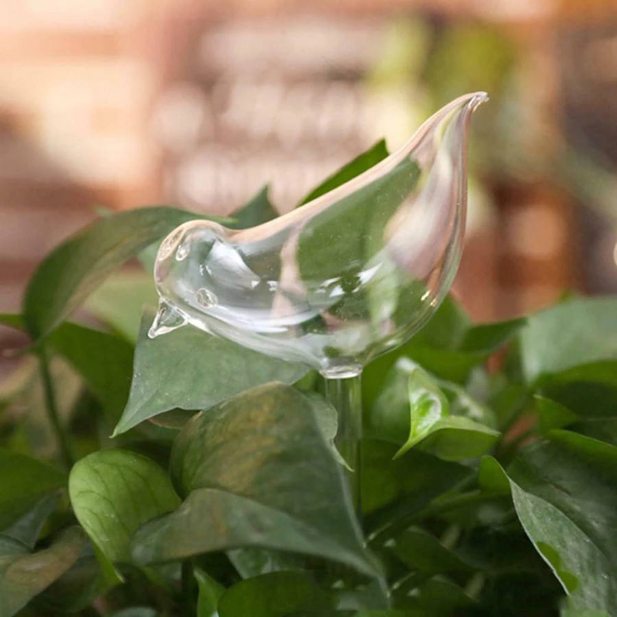 (Last Day Flash Sale-50% Off)self-watering Plant Glass Bulbs-buy 4 Free Shipping