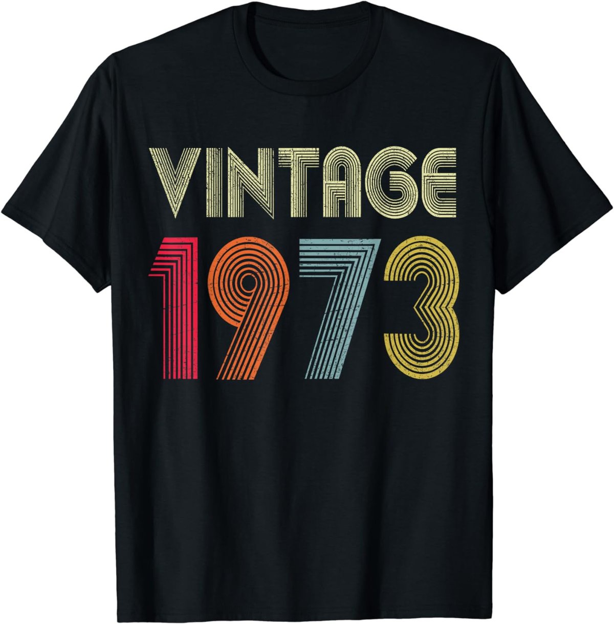 Vintage 1973 51st Birthday Gift Men Women 51 Years Old T-Shirt