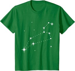 Leo Constellation Zodiac T-Shirt
