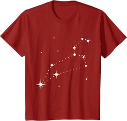 Leo Constellation Zodiac T-Shirt