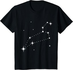 Leo Constellation Zodiac T-Shirt