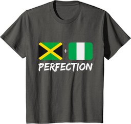 Jamaican And Nigerian Perfection Mix Heritage Flag T-Shirt