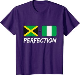 Jamaican And Nigerian Perfection Mix Heritage Flag T-Shirt