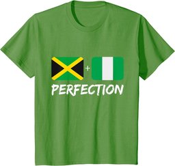 Jamaican And Nigerian Perfection Mix Heritage Flag T-Shirt
