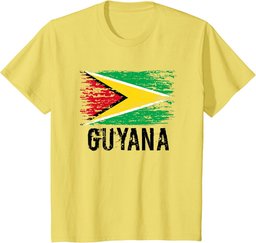 Guyanese Flag Pride Vintage Guyanese Root Gift Guyana T-Shirt