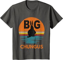 Big Chungus Retro Fat Bunny Sunset Water Distressed Grunge T-Shirt