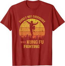 Vintage Surely Not Everyone Was Kung Fu Fighting T-Shirt