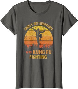 Vintage Surely Not Everyone Was Kung Fu Fighting T-Shirt