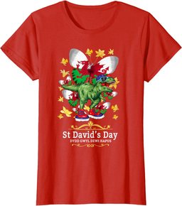 St Davids Day Outfit Kids & Dinosaur Welsh Flag Daffodils T-Shirt