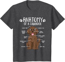 Funny Anatomy Labrador Retriever Chocolate Lab Dog Owner T-Shirt