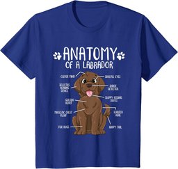 Funny Anatomy Labrador Retriever Chocolate Lab Dog Owner T-Shirt