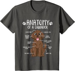 Funny Anatomy Labrador Retriever Chocolate Lab Dog Owner T-Shirt