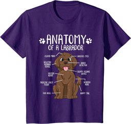 Funny Anatomy Labrador Retriever Chocolate Lab Dog Owner T-Shirt