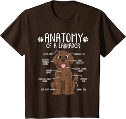 Funny Anatomy Labrador Retriever Chocolate Lab Dog Owner T-Shirt