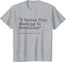 I incite this meeting to rebellion Emmeline Essential T-Shirt