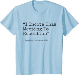 I incite this meeting to rebellion Emmeline Essential T-Shirt