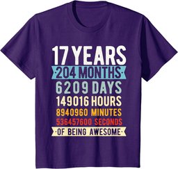 17th Birthday 17 Years Old Vintage Retro 204 Months T-Shirt