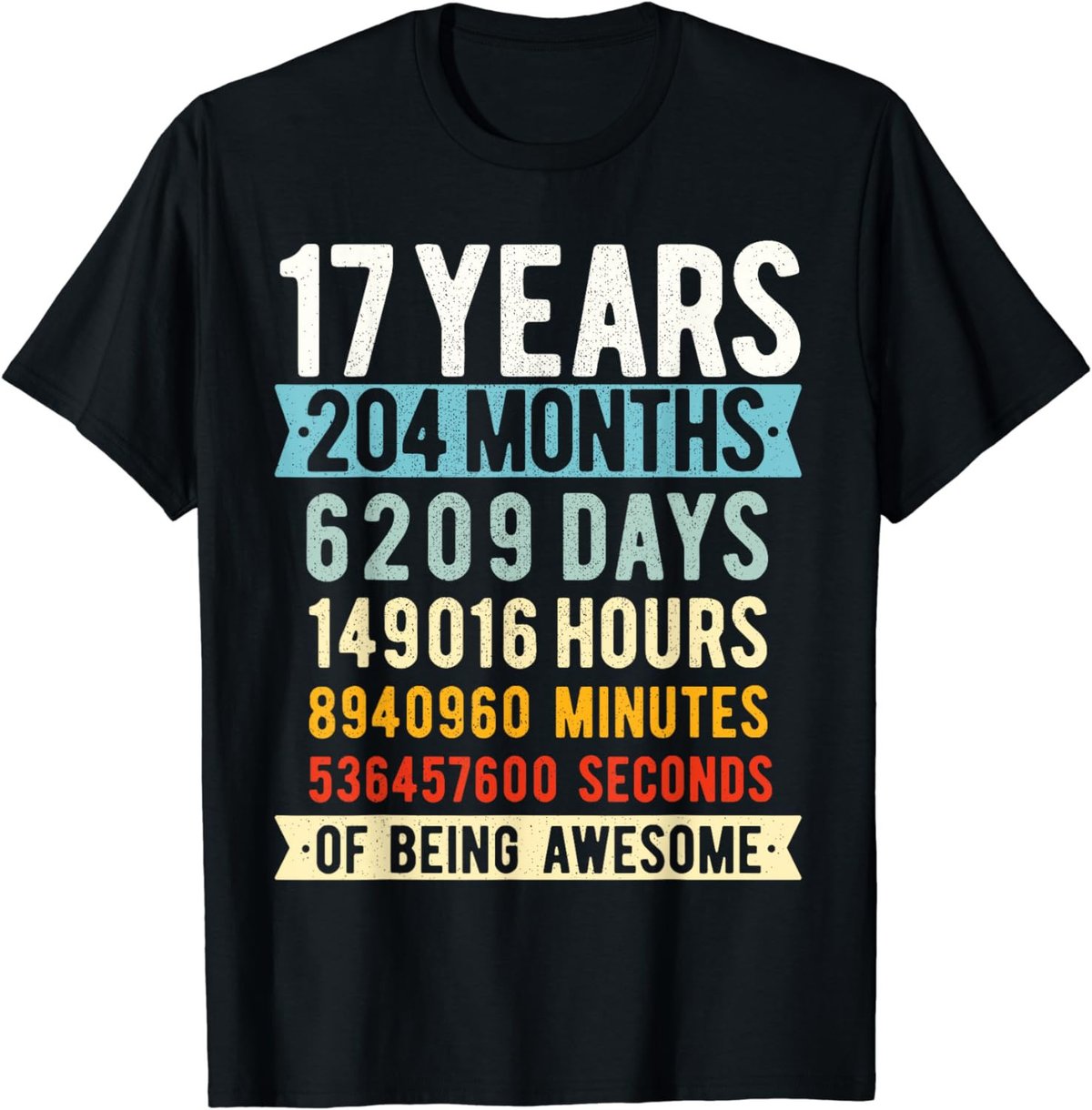 17th Birthday 17 Years Old Vintage Retro 204 Months T-Shirt