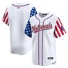 Men's Washington Nationals 2025 Independence Day Vapor Premier Limited Jersey - All Stitched