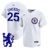 Men's Chelsea 2025 Vapor Baseball Jersey - Stitched