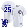 Men's Chelsea 2025 Vapor Baseball Jersey - Stitched