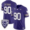 Men's Washington Huskies 2025 Vapor Limited Jersey - All Stitched