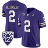 Men's Washington Huskies 2025 Vapor Limited Jersey - All Stitched
