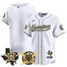 Men's Astros Armed Forces Day Vapor Premier Limited Jersey - All Stitched