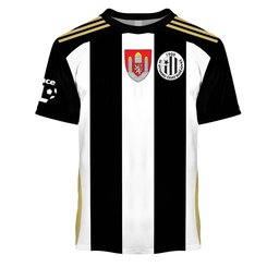 SK Dynamo České Budějovice Chance NL 2526 Home Jersey Style Shirt