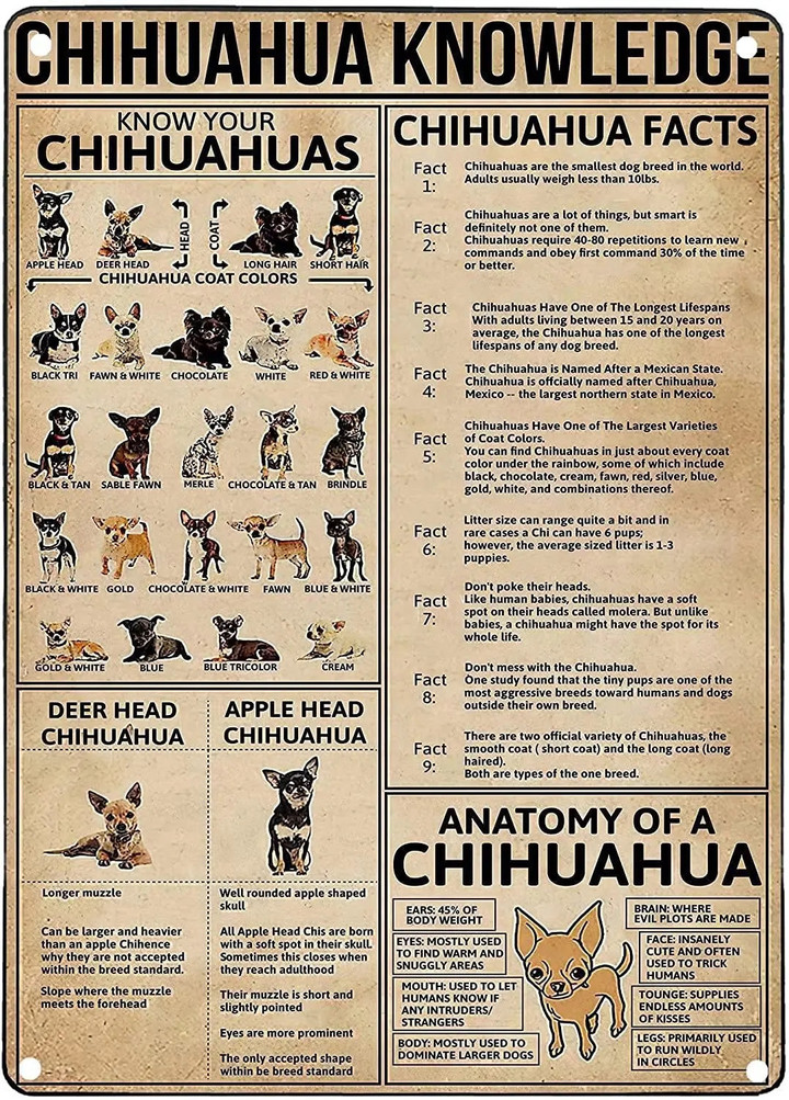 Pug Dog Knowledge Metal Tin Sign