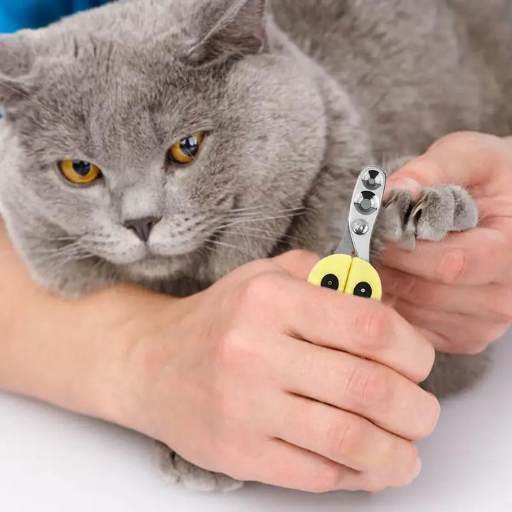 Safe Easy Pet Nail Clippers for Cats