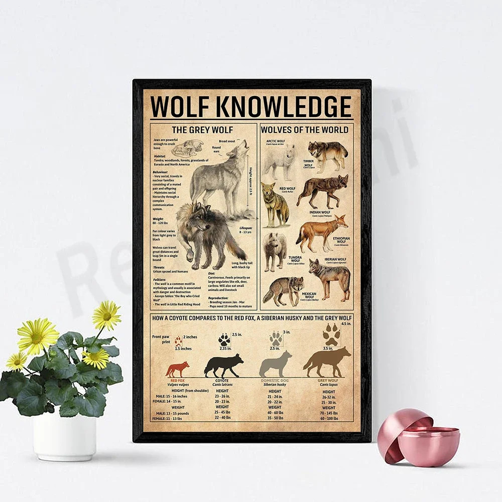 Wolf Knowledge Wolf Knowledge Posters, Wolf Types - Best Shop House