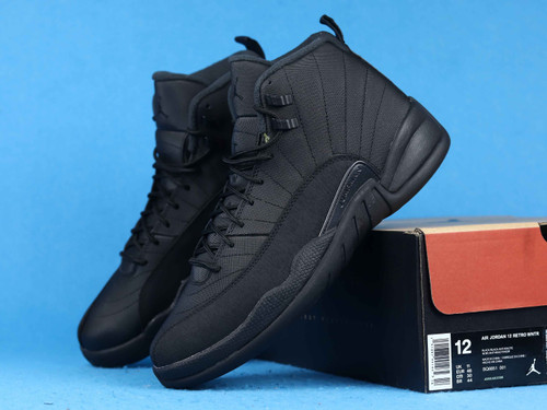 Air JD 12 Retro WNTR “Black Warrior” (BQ6851-001)