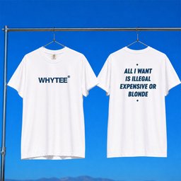 Whyteeindia Merch 2026 All I Want Is Illegal Expensive Or Blonde T-Shirt Sarcastic Quote Shirt
