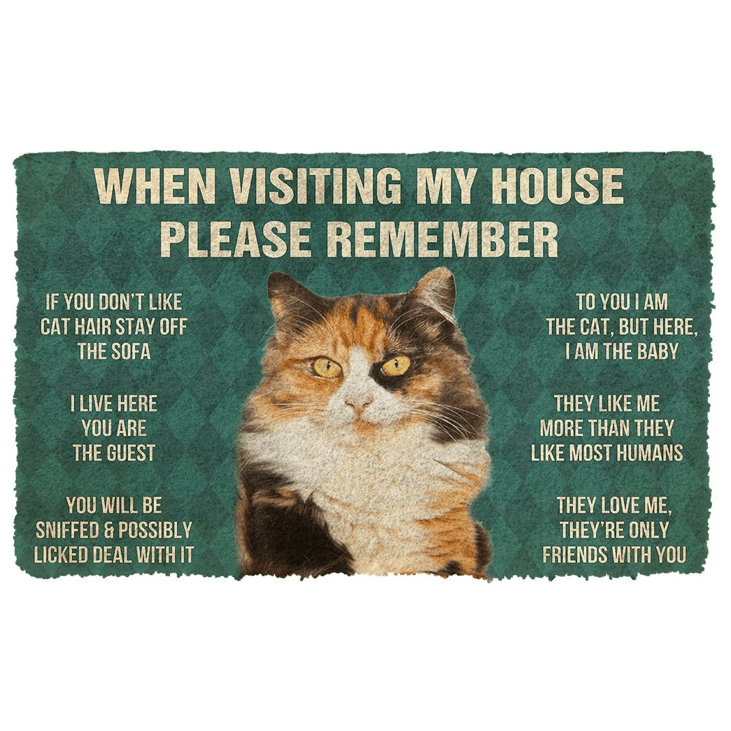 Creative Gift Please Remember Calico Cat House Rules Doormat Home Deco ...
