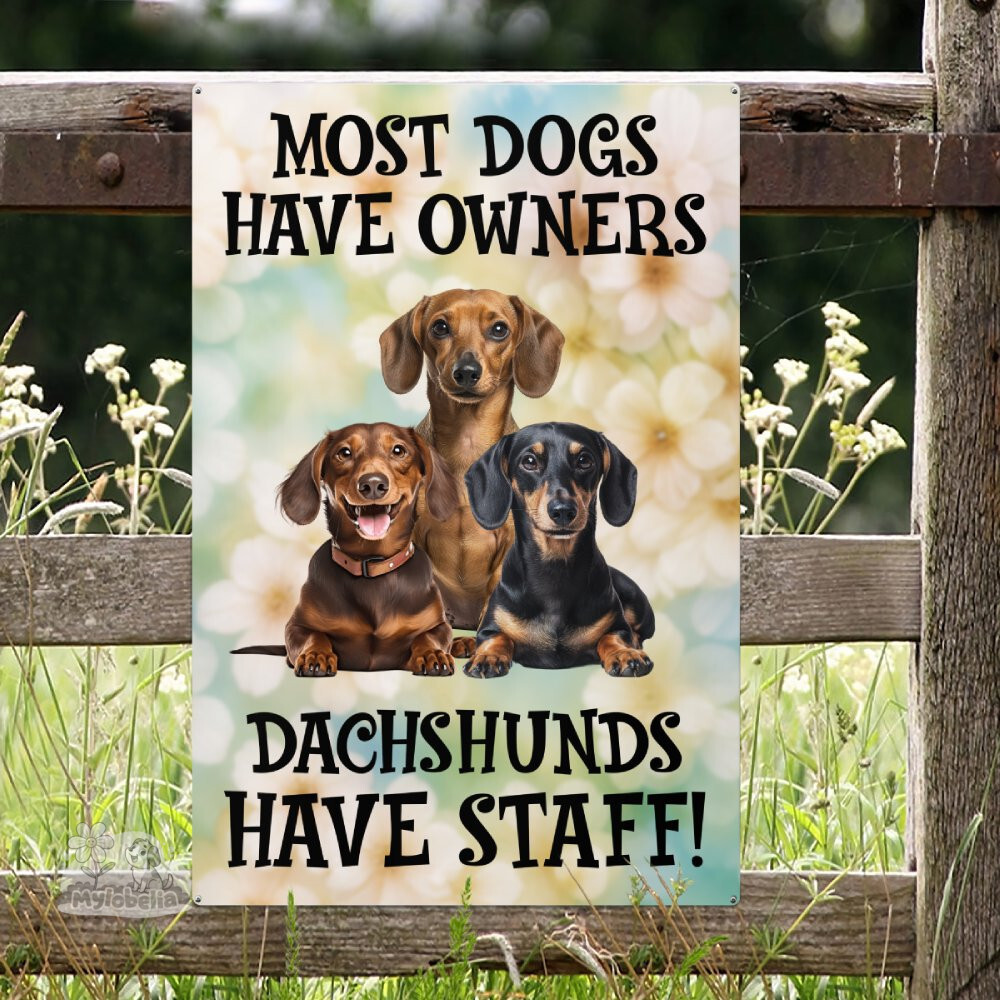 Top Dogs Sign Dachshund Most Dogs Metal Sign - mylobelia