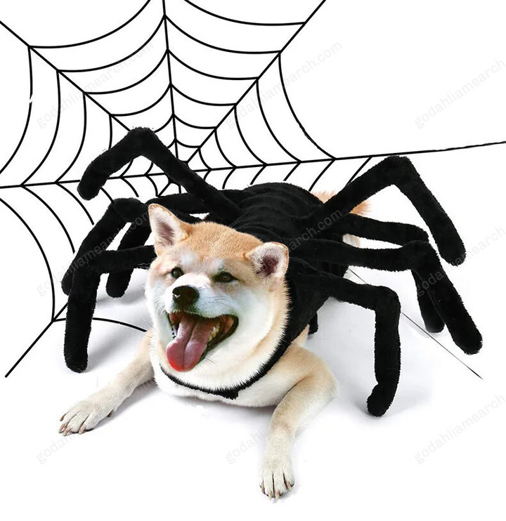 Halloween Funny Spider Costume CAT DOG Clothes for Small Medium-sized PET Accessories