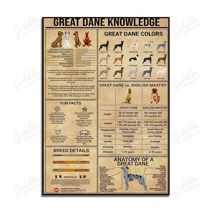 Great Dane Knowledge Poster. Great Dane Canvas Pet Gifts,