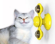 Interactive Windmill Cat Toy