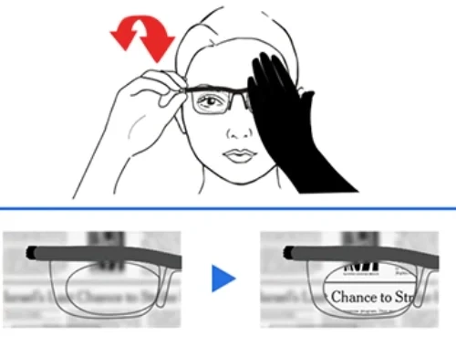 FlexVision Glasses