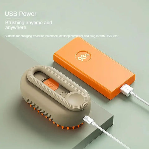 Pet Steamy Brush