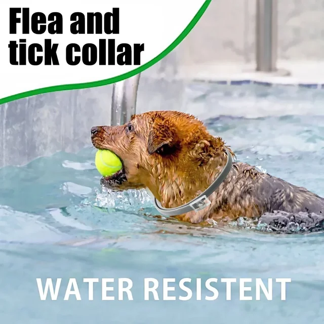 FleaShield Collar